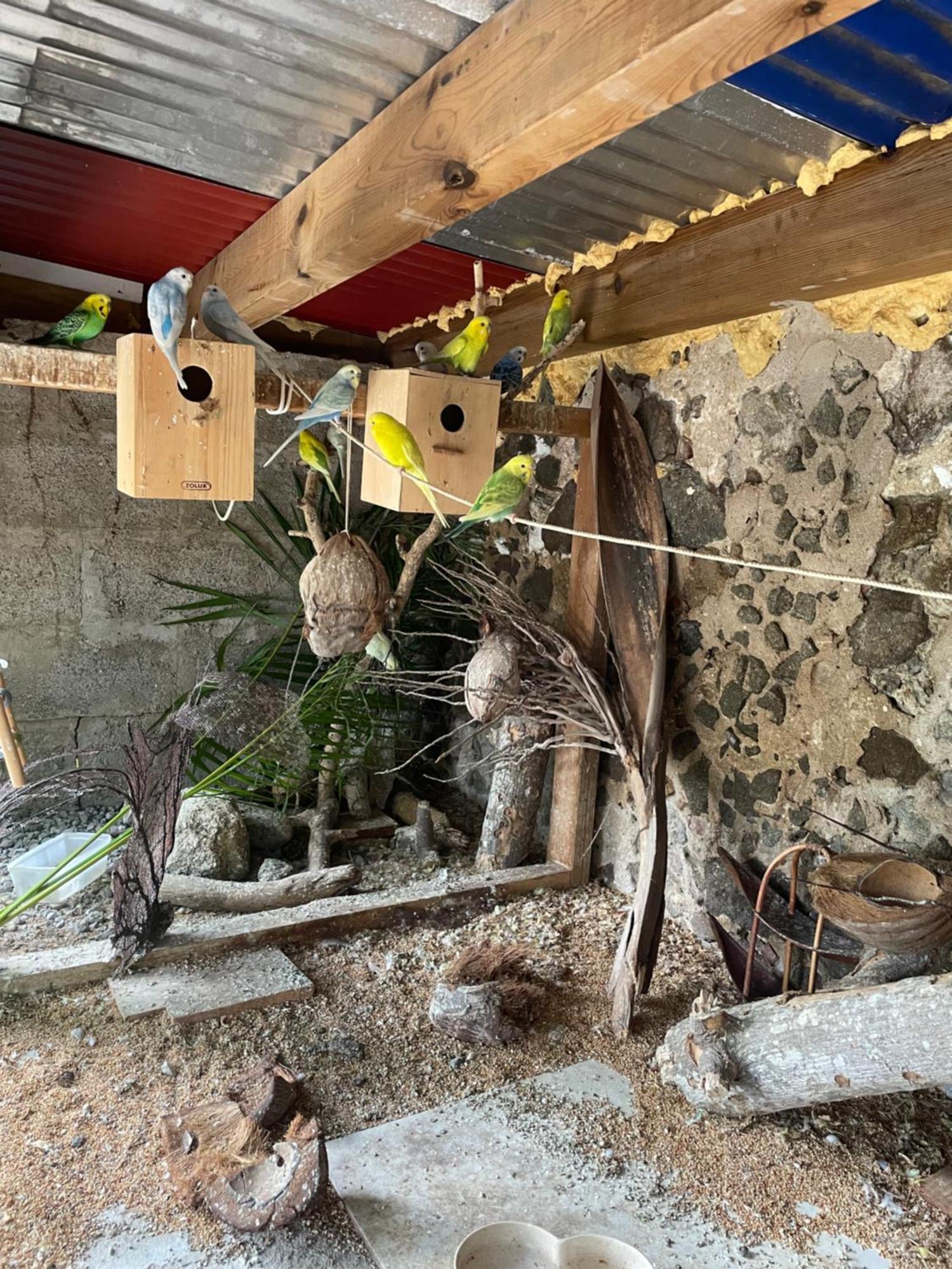 Отель Les Hamacs Aux Saintes Тер-де-О Экстерьер фото